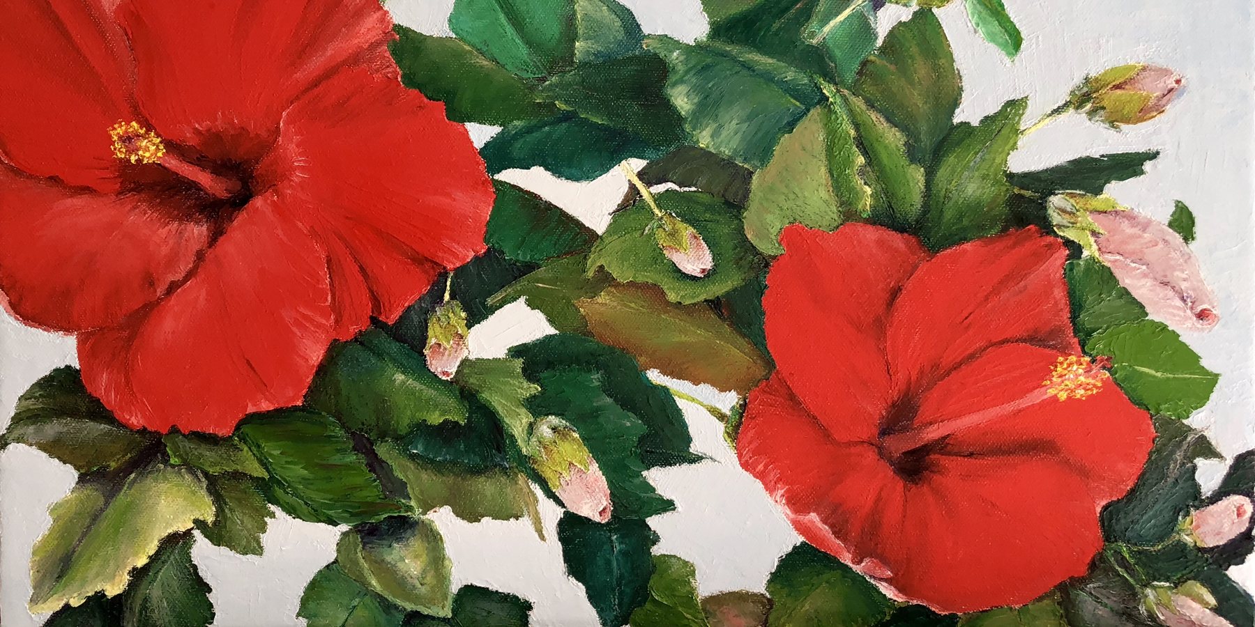 Watercolor of red hibiscus blossoms and buds among deep green leaves.