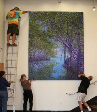 Mangrove Canopy