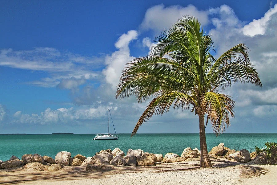 "Fort Zachary Taylor State Park - Find Paradise in Key West Florida" - a leaning palm on the beach with a catamaran anchored on turquoise water