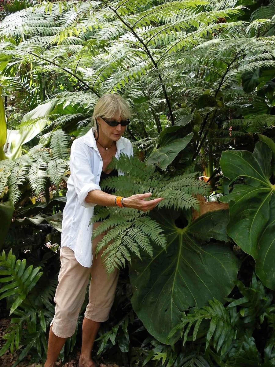 Dawn Wilkins standing among giant tree ferns and tropical foliage, holding up a large fern frond