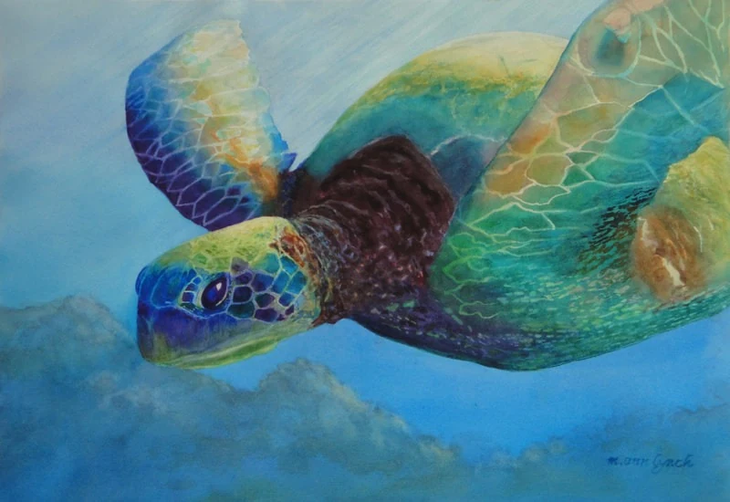 "Deep Diver," watercolor, 15 x 22 in., a green sea turtle swimming over a reef