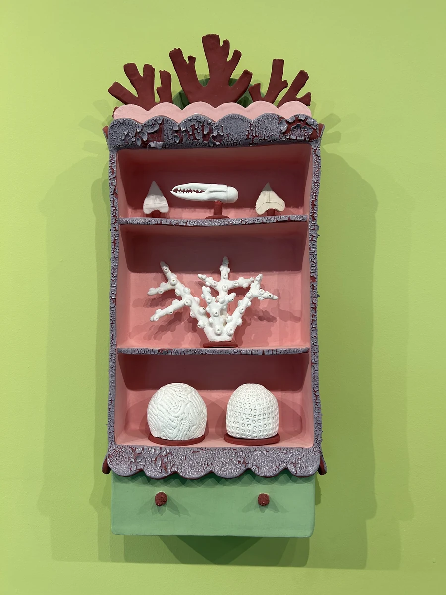 Ceramic cabinet of curiosities holding white coral and shark-tooth forms, from To Have and To Hold by Beatriz Chachamovits, exhibited at REEF's Ocean Exploration Center