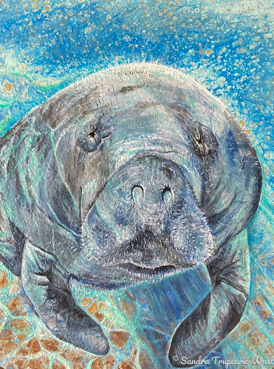 Chill, a manatee facing the viewer in blue water, acrylic and paint pouring on wood, 18 inch diameter