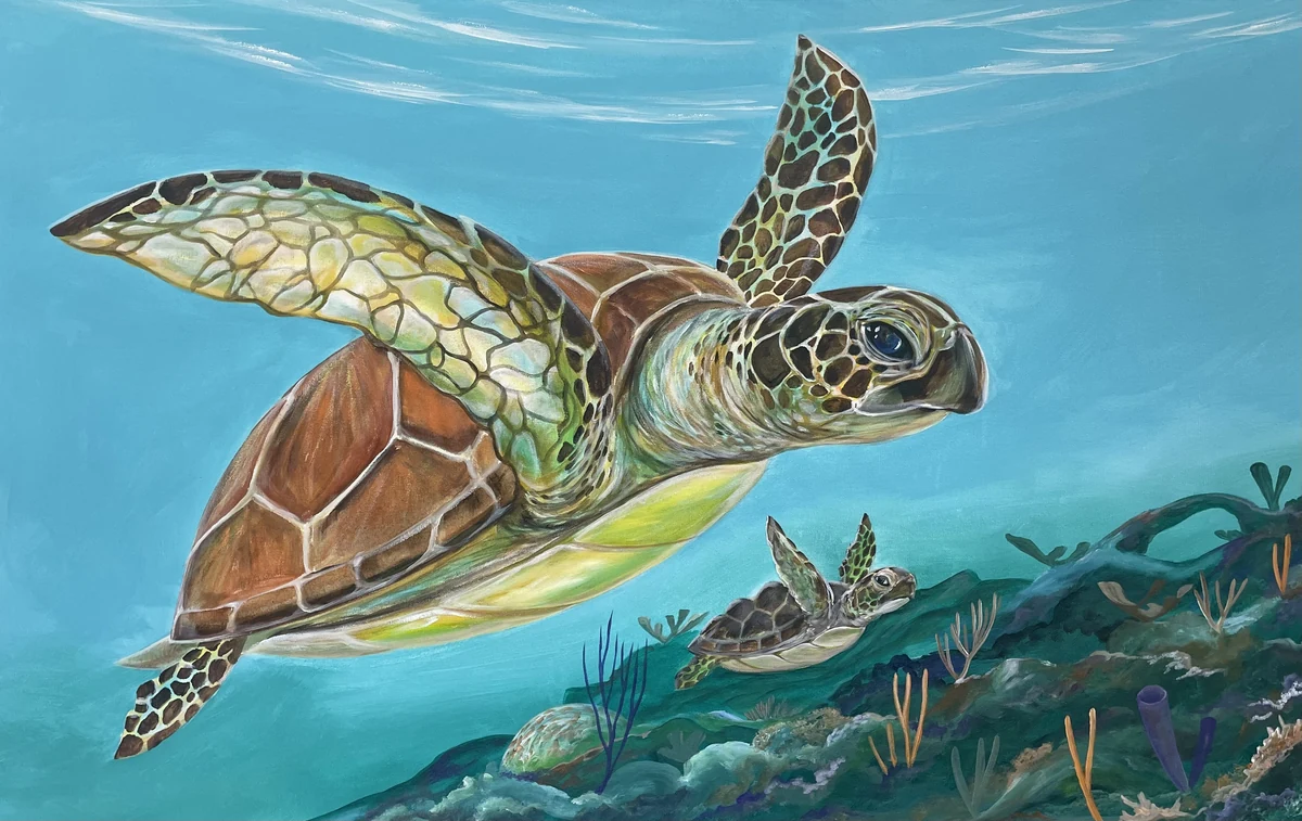 Painting of a green sea turtle swimming over a reef with a second turtle behind it
