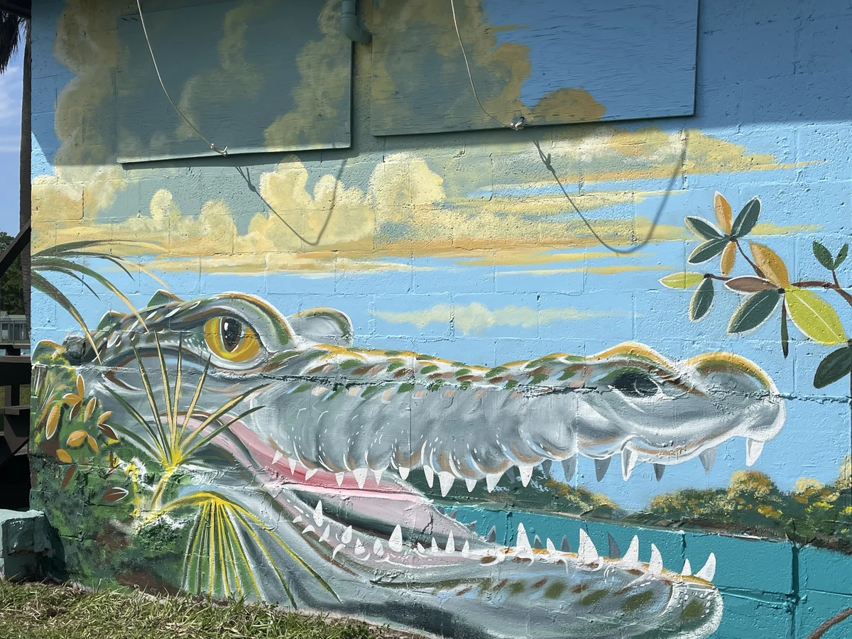 Exterior mural of an American crocodile among mangroves, painted on a concrete block wall